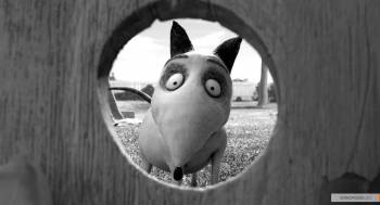 Франкенвини / Frankenweenie (2012)