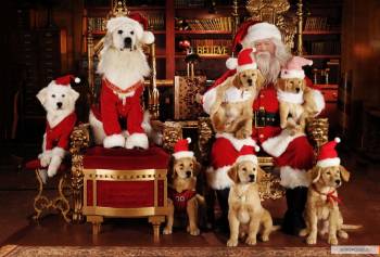 Рождественская пятерка / Santa Buddies (2009) HDRip