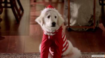 Рождественская пятерка / Santa Buddies (2009) HDRip