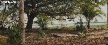 Бакалар / Bacalar (2011) DVDRip