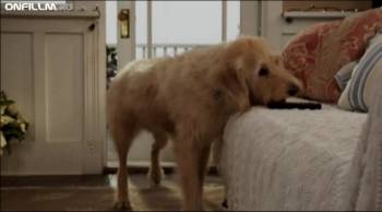 Рождество с Чилли / Chilly Christmas (2012) DVDRip