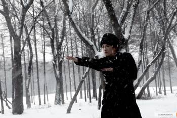 Великие мастера / Yi dai zong shi (2012)