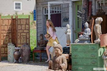 Миллион для чайников / The Brass Teapot (2012) DVDRip