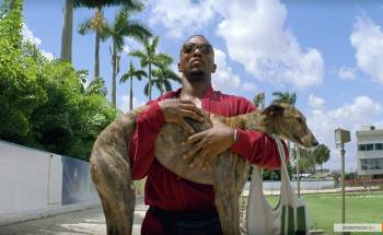 Кровью и потом: Анаболики / Pain & Gain (2013)