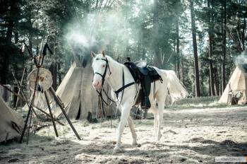 Одинокий рейнджер / The Lone Ranger (2013)