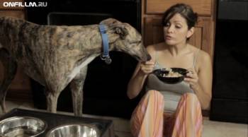 Собака - ангел-хранитель / Angel Dog (2011) DVDRip