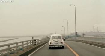 Пес, смотрящий на звезды / Hoshi mamoru inu (2011) DVDRip