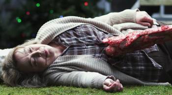 Двенадцать бедствий на Рождество / The 12 Disasters of Christmas (2012) HDRip